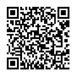 他们认识的风健谈到给三角马喂食都能跟马说半天话二维码生成