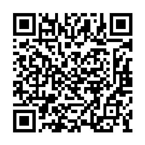 他们该不会打算就这么把我们丢在这里不管了吧二维码生成