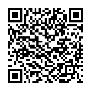 他们谁也不知道被他们围着的这个歹徒手中有没有枪二维码生成