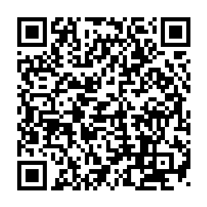 他们谁都沒有想到仅有圣王实力的碧海身上竟然还有如此逆天的东西二维码生成