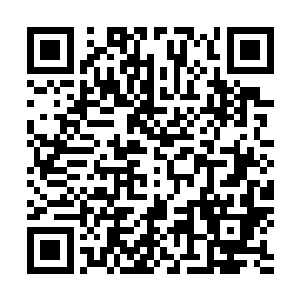 他们跟各自位置上的国内顶级选手相比都还有着一定的差距二维码生成