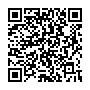 他们跟幼儿园的小朋友是不是能够相处的比较好二维码生成