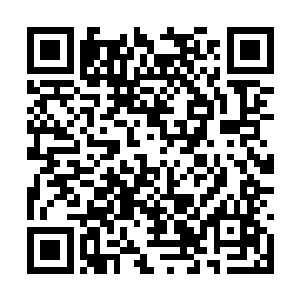 他们路过的这个城市看起来既灰暗不堪又极不整洁二维码生成