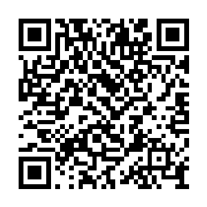 他们身上的铠甲明显要比普通阴兵高上几个档次二维码生成