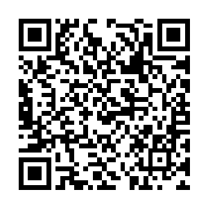 他们身上那淡红色的光芒也陡然变得无比强烈起来二维码生成