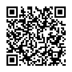 他们身体的热量和用来求生的能量就会减少一分二维码生成