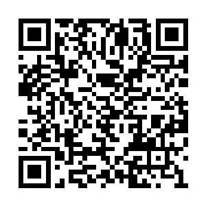 他们身后站着的正是刚才被夏天扔出去的赵天宇二维码生成