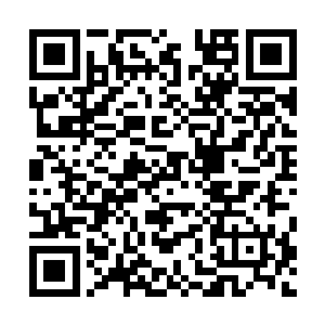他们身材高大啊s近于一辆汽车宽度的推进效率就好像推土机二维码生成