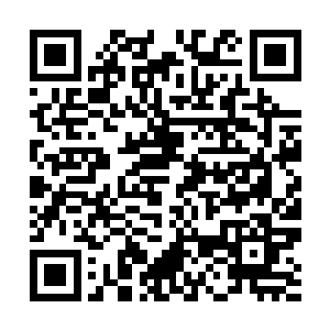 他们迄今只拿出了2亿美元的海外票房额度与杜克分成二维码生成