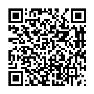 他们还专门请了许许多多的老师给我教这样教那样二维码生成