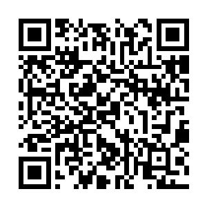 他们还从来没有遇到过有人敢在天师府门前闹事的二维码生成