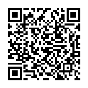 他们还从来没见过这么叛逆不好管教的一年级新生二维码生成