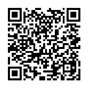 他们还想使用上一局潘森到6以后强行抓中的战术二维码生成