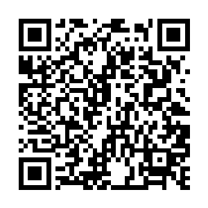 他们还是第一次听过圣器空间内有圣王强者的存在二维码生成