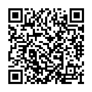 他们还没有想好该如何对楚兰说这件事情的时候二维码生成