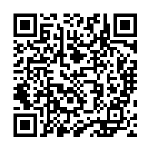 他们还没有机会可以坐下来聊聊路上的事和以后的打算呢二维码生成