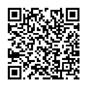 他们还特地赠送了一大杯插有两根吸管的情侣果冻二维码生成