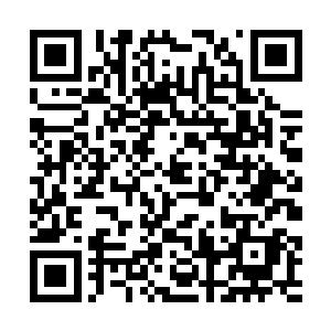 他们这一次几乎是穿梭了大半个奥林匹斯疆域的距离二维码生成