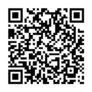 他们这两个职位说明他们还都是家里的有用之才二维码生成