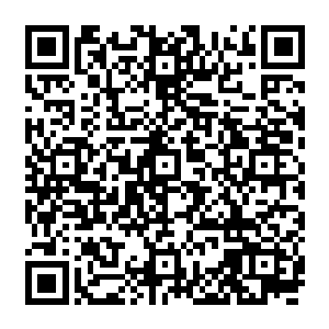 他们这个小圈子应该算是全场唯一没有上去给和秦纵横白破局两人打招呼的特殊存在了二维码生成