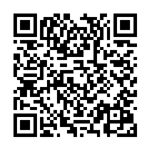 他们这个队伍就将大批魔兽的队伍撕开了一条口子二维码生成