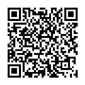 他们这个阵容一旦锤石钩不到人也就没有了强开团的手段二维码生成