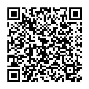 他们这么多人居然都被一名刚晋级为圣者几天的新生给打的遍体鳞伤二维码生成