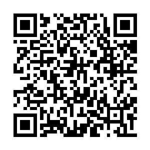 他们这些人一个个全都释放出了自己的强大气势二维码生成
