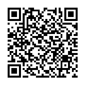 他们这些人一个个现在也全都是奋力的向两边攻击二维码生成