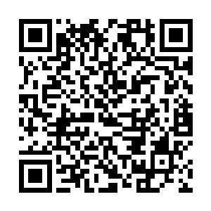 他们这些人在林先生的面前那简直就好像是徒子徒孙了二维码生成