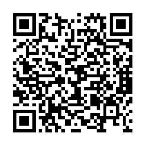 他们这些人虽然在墨之战场与墨族争斗了上千年甚至数千年二维码生成