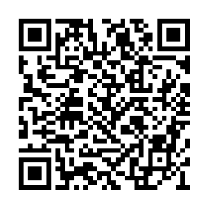 他们这些后入宗门的修士也不会被宗门真正接纳二维码生成