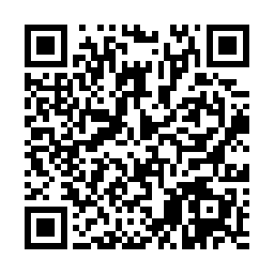 他们这些大比的弟子胜负也是上方那些大人物决定的筹码二维码生成