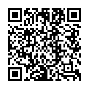 他们这些天吃的解闹羊花毒的药丸子其中有解断肠草毒的成分二维码生成