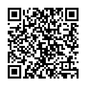 他们这些新兵在之前已经见识过风天翔的变态实力二维码生成