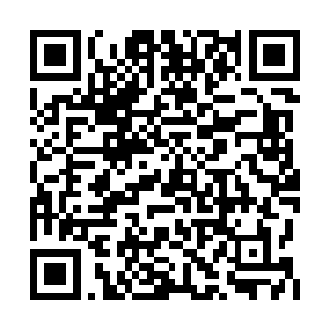 他们这些晨星是朱庇特之雷一路培养出来的很少二维码生成