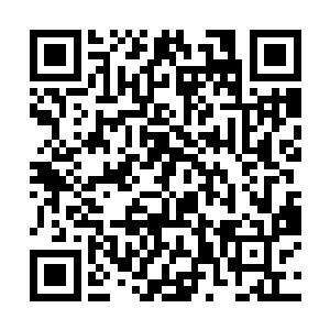 他们这些普通的山野生物天生就对这些王者有着畏惧二维码生成