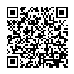 他们这些曾经招惹过他的人日子肯定会很难过…二维码生成