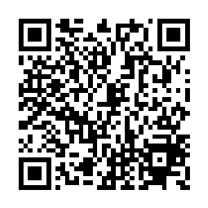 他们这些相当一部分的猿人命运都会被自己改变二维码生成