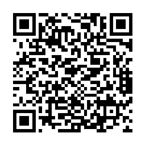 他们这些隐世家族的威严绝对不是任何人都可以轻易亵渎的二维码生成