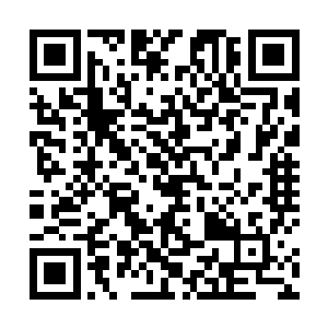 他们这十个人的身上就全都出现了一个包裹全身的袍子二维码生成