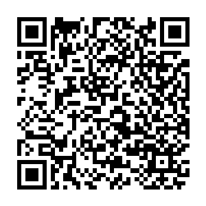 他们这才想到这位青年似乎曾经收到过生命树培育者·穆兰莎教授的录取函来着二维码生成