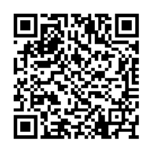 他们这批人带走了星辰云门绝大多数的典籍秘藏二维码生成