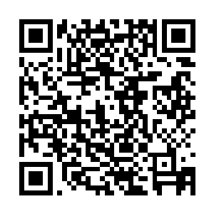 他们进府前明明是让人通报是来见世子与世子妃的二维码生成