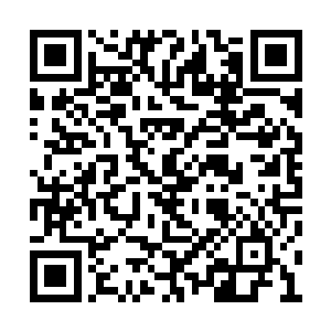 他们连对方具体施展了怎样的攻击手段都不知道二维码生成