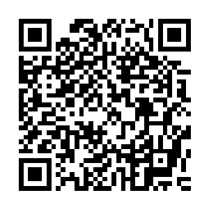 他们连问都没问一句当时是否还有其他活下来的人能出来作证二维码生成