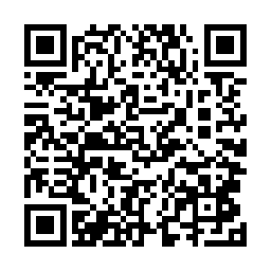 他们选派了一名女宇航员和这些男宇航员一起去执行任务二维码生成