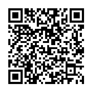 他们那么多的火力也不过是略微阻挡巨蟒进攻而已二维码生成