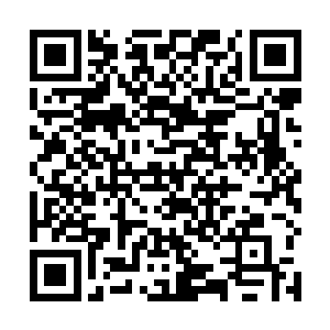 他们那种业余都谈不上的乌合之众比赛里是不许打架的二维码生成