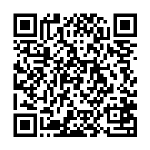 他们都不再支持我参演你的电影了……这样说很无礼二维码生成